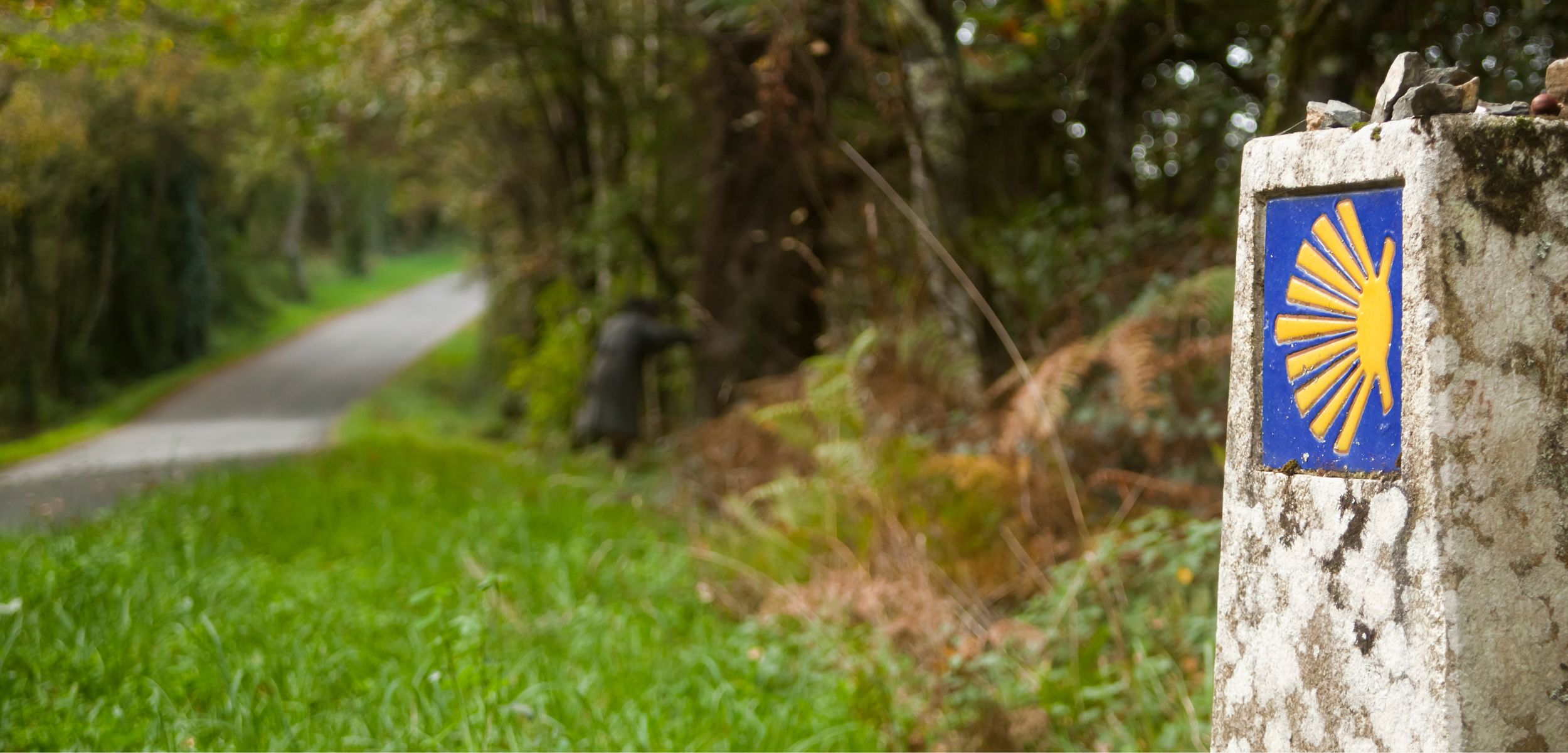 jakie buty na camino?